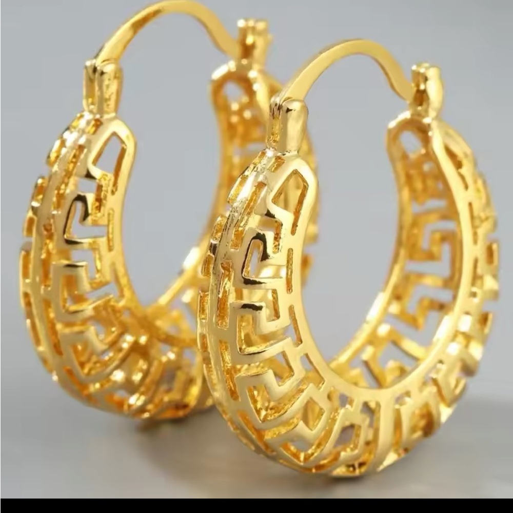 Elegant Gold Hoop Earrings